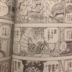 剧透警告！ 《海贼王》漫画最新话传出萨博死讯